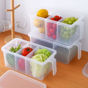 AMPIXI Fridge Storage Box with Lid – 3 Section Transparent Fridge Organizer | Multi-Purpose 5L Pack of 1
