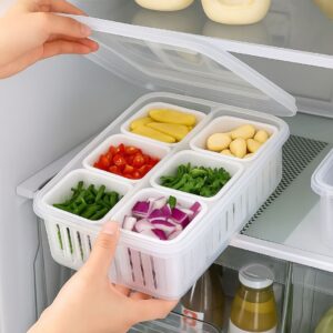 AMPIXI 6-Compartment Multi Storage Container with Lid | Stackable Fridge Organizer Box for Food