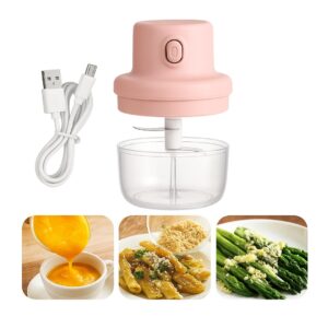 AMPIXI Mini Electric Chopper for Kitchen – 250ML Rechargeable Vegetable & Garlic Chopper
